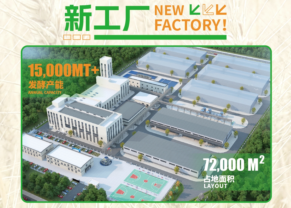 新厂面积.png